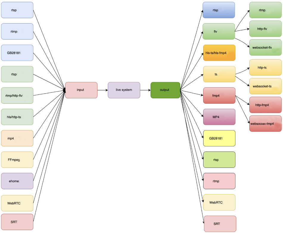 B1 Networks service visual